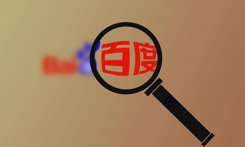 百度强引蜘蛛池出租